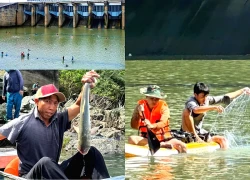 Tri An Lake experiences a booming "fishing festival," with people flocking there for one reason?