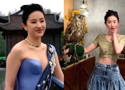 Liu Yifei quickly deleted a photo showing her waist, sparking heated debate among fans about her true appearance.