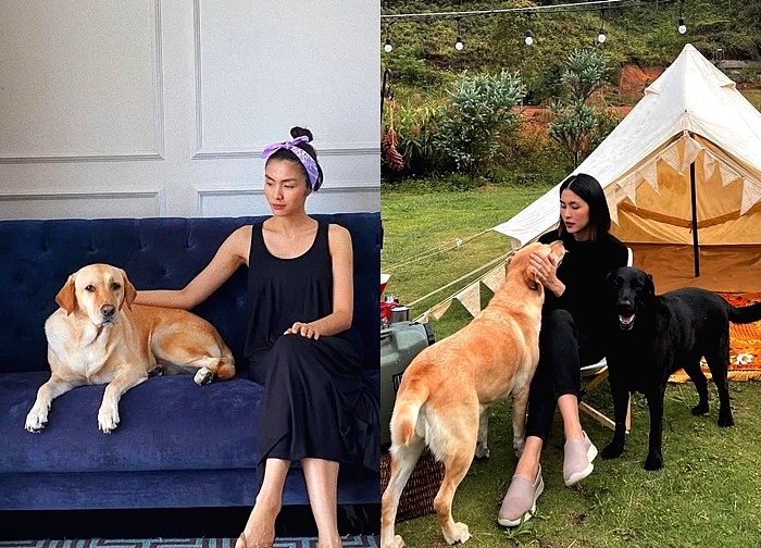 Chia buồn cùng Tăng Thanh Hà