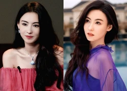 Sự thật khiến Trương Bá Chi bật khóc tại tòa