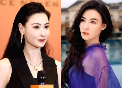 Trương Bá Chi lập di chúc
