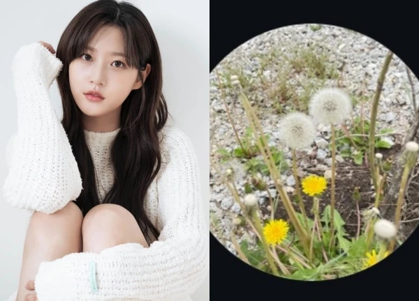 Kim Sae Ron làm điều kỳ lạ trước khi qua đời, chi tiết tâm linh gây rùng mình