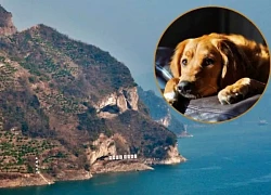 Feverish mountain shaped like a sleeping dog, tourists flock to the winter