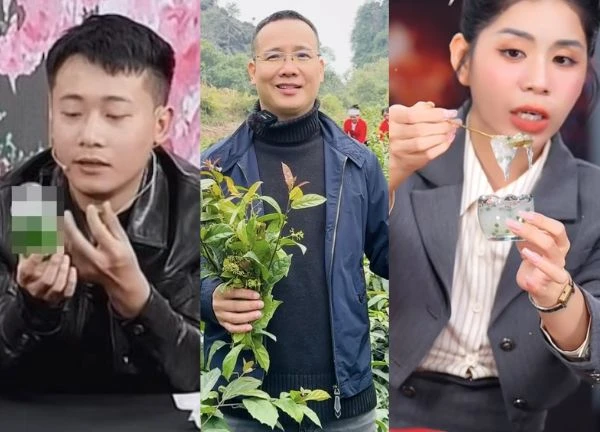 The journalist who made a plate of vegetables of Quang Linh Vlogs, bitterly made up the name of Hang Du Dang?