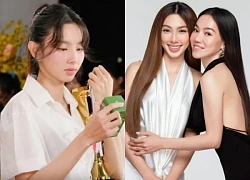 Beauty queen boss writes letter defending Thuy Tien, apologizes to fans, praises her pet