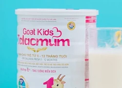 Bộ Y tế nói gì về trách nhiệm vụ gần 600 loại sữa giả tuồn ra thị trường?