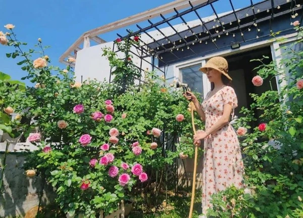 Vườn hồng rực rỡ, rau trái sum sê trên sân thượng penthouse ở Bình Dương