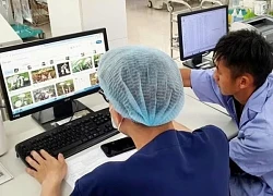 Vợ chồng trẻ hôn mê sau bữa cơm có nấm trắng