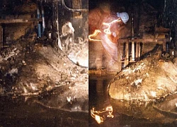 Elephant's foot: Invisible destroyer, 5 minutes to kill, never dare to come near again!