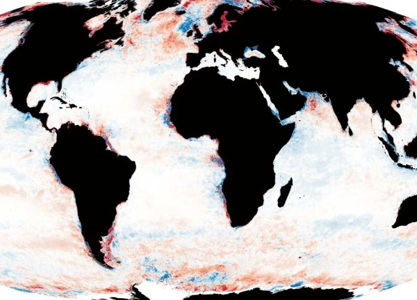 Đại dương toàn cầu tối dần, đe dọa nghiêm trọng đến sinh vật biển
