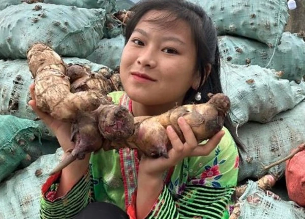 Sùng Bầu kiế.m tiề.n tỷ mỗi tháng nhưng mâm cơm cữ đạm bạc đến khó tin, lý do rất nhiều mẹ bỉm đồng cảm