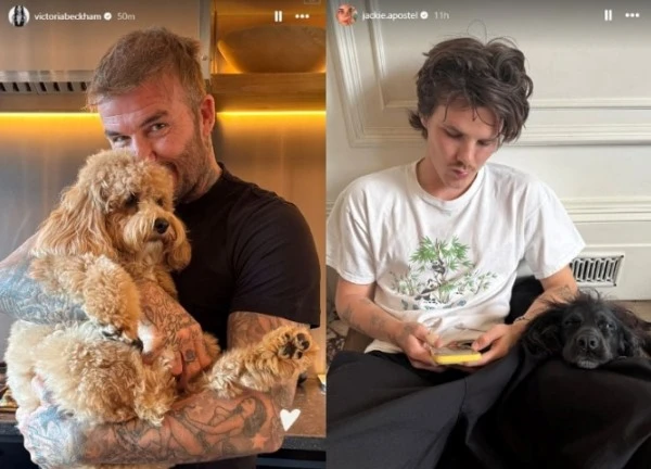 Beckham có nước đi không ngờ giữa drama "sóng gió gia tộc", tín hiệu "đầu hàng" con dâu?