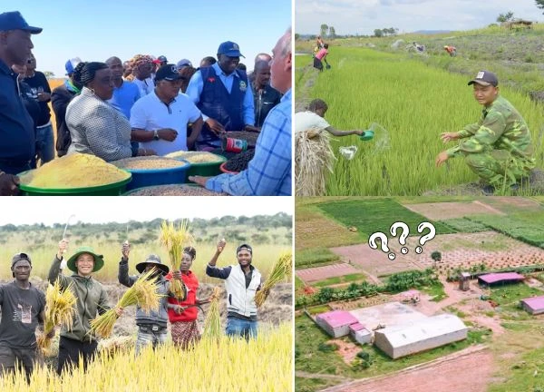 The African team lost the pillar of 'donation', the shocking secret of the farm was revealed?