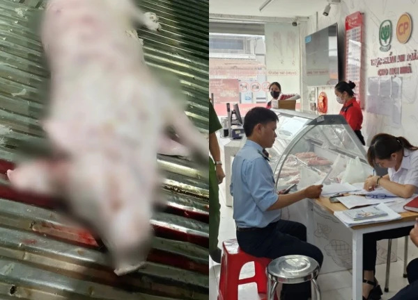 Vụ Thịt heo C.P: Hình ảnh heo bệnh có thật, Sóc Trăng công bố Kết quả xét nghiệm
