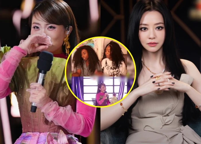 Phuong My Chi shocked international audiences, saying Truong Luong Dinh was difficult, and was criticized.
