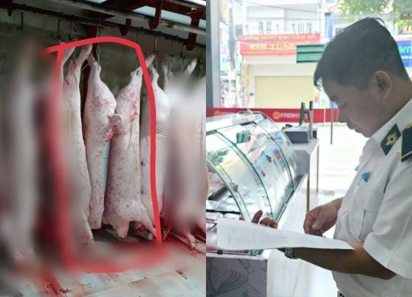The accuser of C.P Vietnam released more shockin.g images of sick pigs, revenue dropped deeply