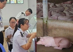 The case of C.P VN suspected of selling sick pigs: Inspecting 9 stores in Binh Duong, shocking results