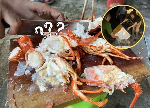 Lobster case of unusual weight gain even though dead: caught red-handed selling a magical item