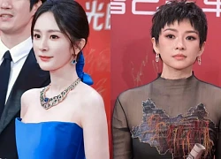 Dương Mịch 'chơi trội', diễn phụ mà muốn lấn át Chương Tử Di, fan Trung dậy sóng
