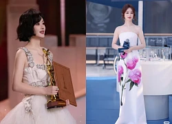 Trieu Le Dinh's rapid decline: Once a queen, now she has to "be the background"?
