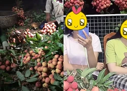Không phải đi chơi, Gen Z về quê... bán vải trên TikTok, chốt đơn từ 5h sáng!