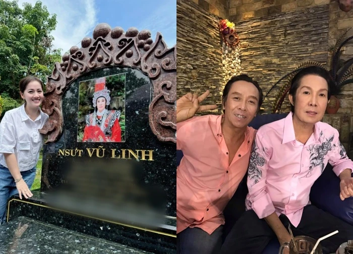 Vu Linh's younger brother scolded his niece after the trial, a female artist revealed shocking things