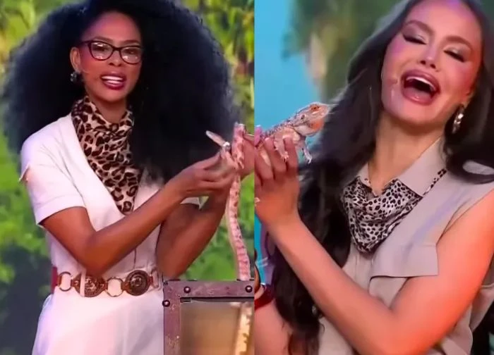 Miss Universe Latina mở show thi bắt chuột, thằn lằn, rắn, dân tình bức xúc