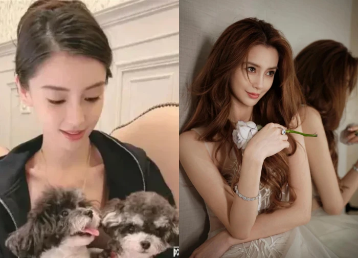 Angelababy appeared amid rumors of giving up the villa to her ex-husband's new girlfriend?