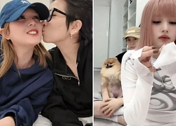 Mango Non borrowed the words of fans to 'urge marriage', Gil Le said 4 words like 'splashing cold water'?