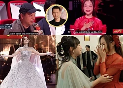 NSX âm nhạc của Trương Học Hữu 'lên kèo' sốc với Phương Mỹ Chi, vì ngưỡng mộ?