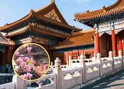 The Forbidden City has 9,999 rooms, 81 rivets, not a random number