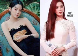 Âu Dương Na Na vibe 'công chúa cello', 'kèn cựa' Lưu Thi Thi ở thảm đỏ là ai?