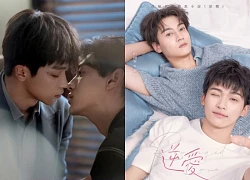 Nghịch Ái: Phim đam mỹ bất chấp lệnh cấm, 2 nam chính thành đỉnh lưu sau 1 đêm?