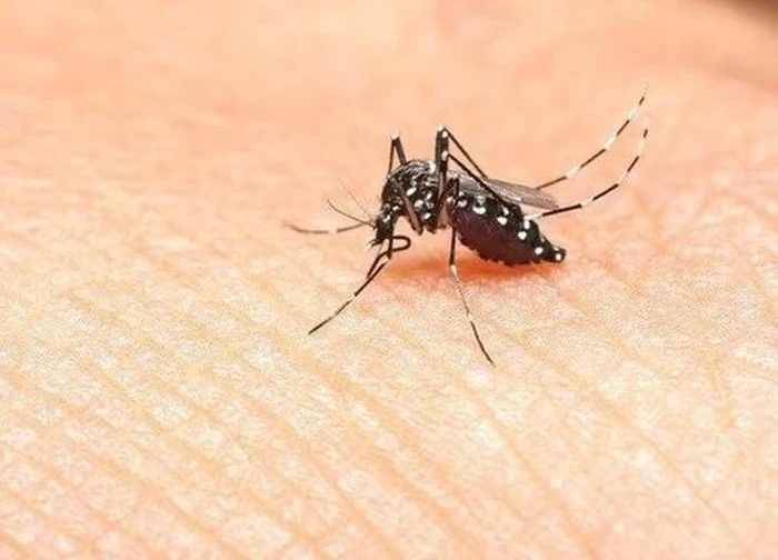 Dịch sốt xuất huyết 'vào mùa' cao điểm