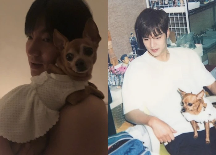 Lee Min Ho đón nhận mất mát lớn trước ngày trở lại màn ảnh rộng