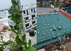 Bão Wipha cảm thấy bị coi thường, bởi những pha "né bão" có 102 của người dân!