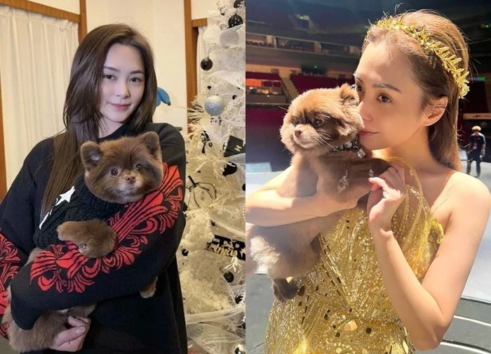 Phát hiện đối tượng được "ngọc nữ" bao nuôi: Ở siêu biệt thự, hàng hiệu dát đầy người