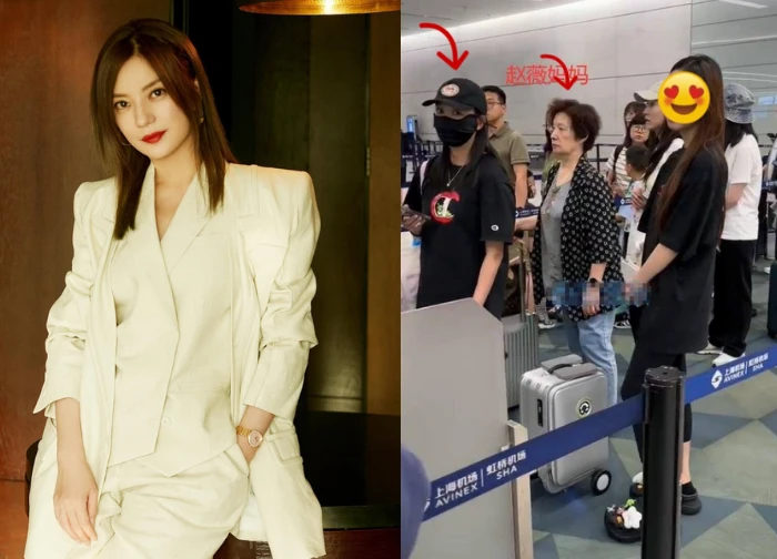 Zhao Wei caught at the airport, dragged mother and child along, suspected of going abroad to "escape debt"