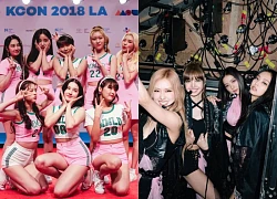 MOMOLAND hé lộ ngày tái xuất, đối đầu BLACKPINK, rục rịch hit mới 'lật đổ' JUMP