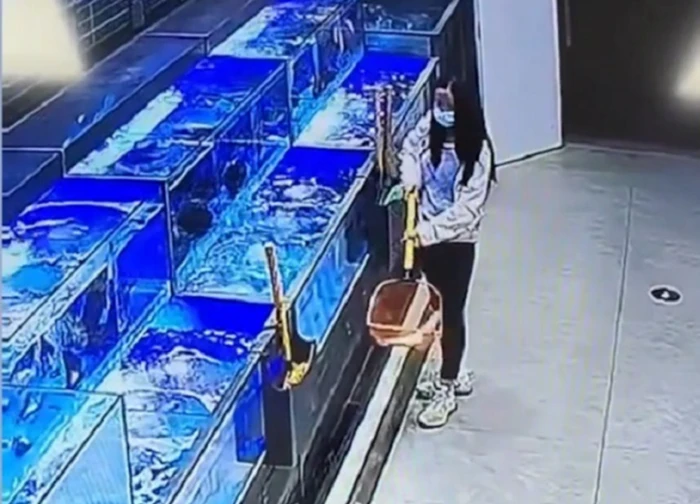 Phẫn nộ: Camera giám sát ghi cảnh cô gái giẫm chết 2 con cá trong siêu thị để mua giá rẻ