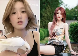 Triệu Lộ Tư tố công ty cũ "tung tin xấu", chửi thẳng mặt, ép chấm dứt hợp đồng!