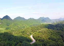 Giải mã những "ẩn số" quanh vụ du khách tử vong trong rừng Cúc Phương