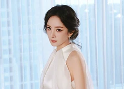 Dương Mịch từng bị mắng chửi, lội ngược dòng xây đế chế 18.000 tỷ, lộ bí mật sốc