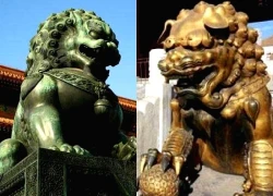 Bí ẩn đằng sau những chú sư tử tai cụp ở Tử Cấm Thành, ngàn năm không lời giải