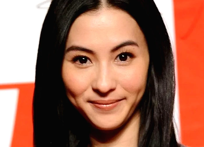 Trương Bá Chi từ giã nghiệp diễn vì lý do sức khỏe