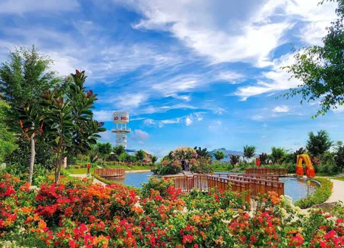 Đặt chân lên thảo nguyên điện mặt trời độc nhất Việt Nam