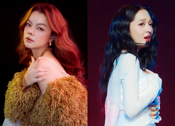 Pham Quynh Anh confronted fans, implicitly accused Bao Anh of 'pick me girl', said 1 angry sentence!