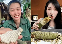 Quả trầu bà 7 năm mới có, nay là "đặc sản" mukbang hàng triệu người tìm ăn