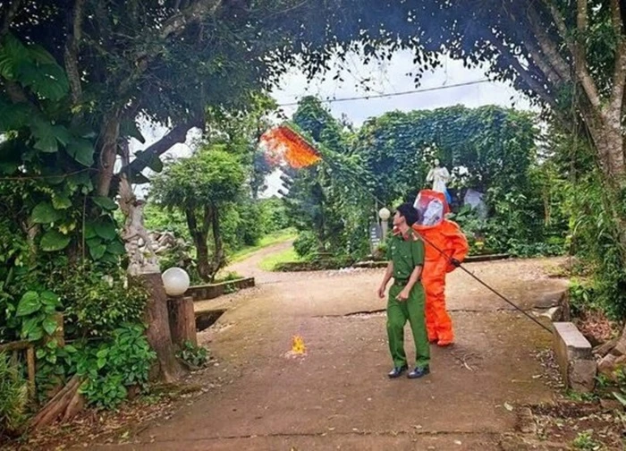 Bị 23 vết ong vò vẽ đốt, bé 5 tuổi ở Gia Lai tử vong