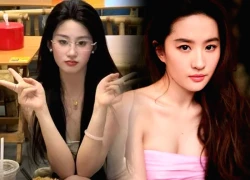 Em gái song sinh của Lưu Diệc Phi lộ diện, gặp rắc rối vì 1 lý do